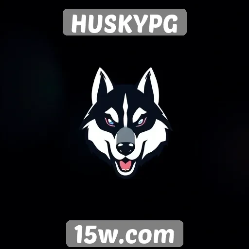 Plataforma HUSKYPG se destaca pela interface intuitiva
